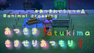 【あつもり】しれっとあつ森【魚か虫か】