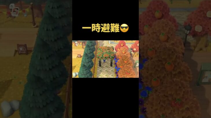#あつ森 #あつまれどうぶつの森