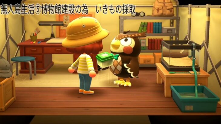 【あつ森】　初心者　まずはエンディング目指し進めましょう!⑤　〜博物館建設に向けていきもの集め〜