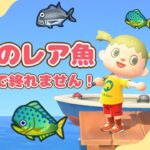 【あつ森】桟橋のレア魚釣るまで終われません！耐久配信【あつまれどうぶつの森】