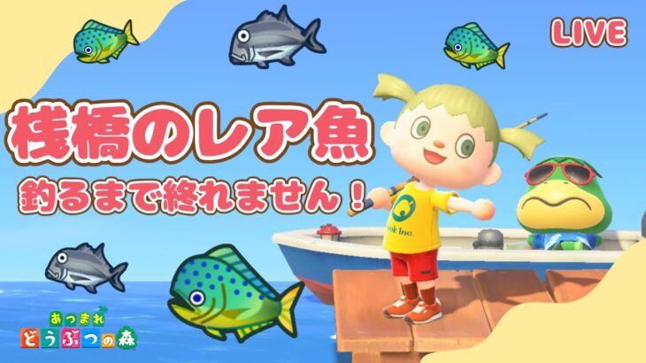 【あつ森】桟橋のレア魚釣るまで終われません！耐久配信【あつまれどうぶつの森】