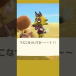 実はリカルドの手には・・・【あつ森】