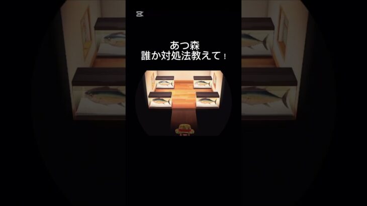 あつ森 誰か対処法教えて！魚が溜まりすぎて、、、 #あつまれどうぶつの森 #あつ森