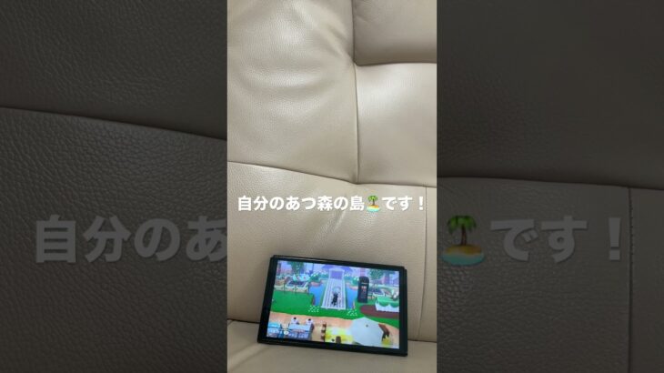 自分の島を紹介？してみました〜        #あつ森 #あつまれどうぶつの森 #あつ森の島を紹介してみた！🏝