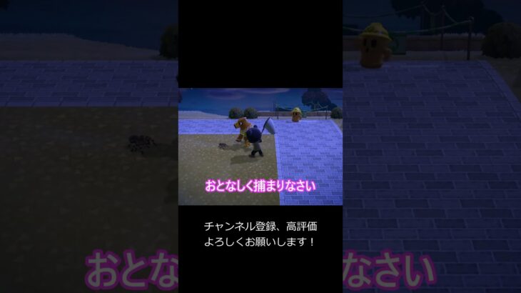 こんなはずではなかった…【あつ森】 #あつ森 #あつまれどうぶつの森