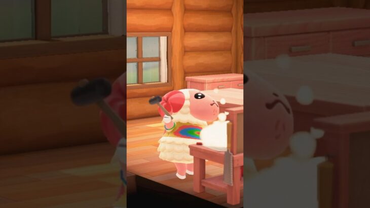 【あつ森】ちゃちゃまるの表情が可愛すぎる🥺⭐️