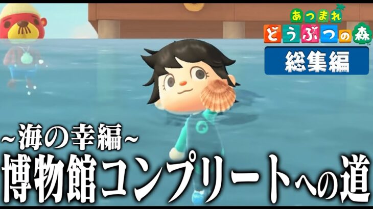 ドコムスの「あつまれどうぶつの森～博物館コンプリート～海の幸編」総集編【ドコムス切り抜き】