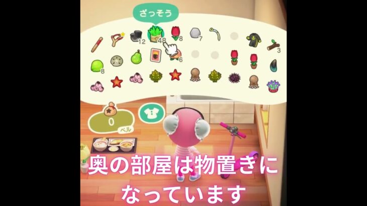 【あつ森】収納できなくなったら、どうしたらいいか【無言】 #あつ森 #あつまれどうぶつの森