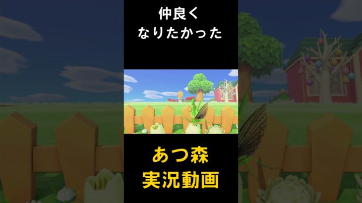 いまさら始めるあつ森実況#あつまれどうぶつの森 #あつまれどうぶつのもり#あつ森 #あつもり #どうぶつのもり #どうぶつの森#どう森 #どうもり#ゲーム実況 #ゲーム #実況 #あつまれ