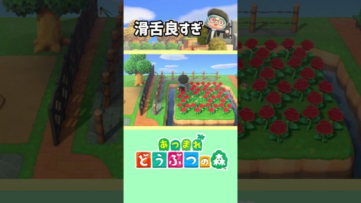 【あつまれどうぶつの森】な…なんて？？ #あつ森 #あつまれどうぶつの森