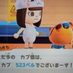 【あつ森】カブ５２３島開放中！高評価、チャンネル登録で無料！