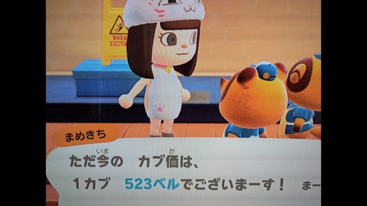 【あつ森】カブ５２３島開放中！高評価、チャンネル登録で無料！