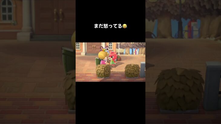 #あつ森 #あつまれどうぶつの森 #どうぶつの森 #ゲーム