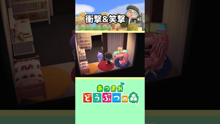 【あつまれどうぶつの森】マジ…??? #あつ森 #あつまれどうぶつの森