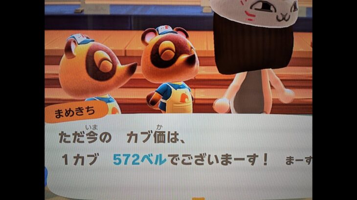 【あつ森】カブ５７２島開放中！高評価、チャンネル登録で無料！