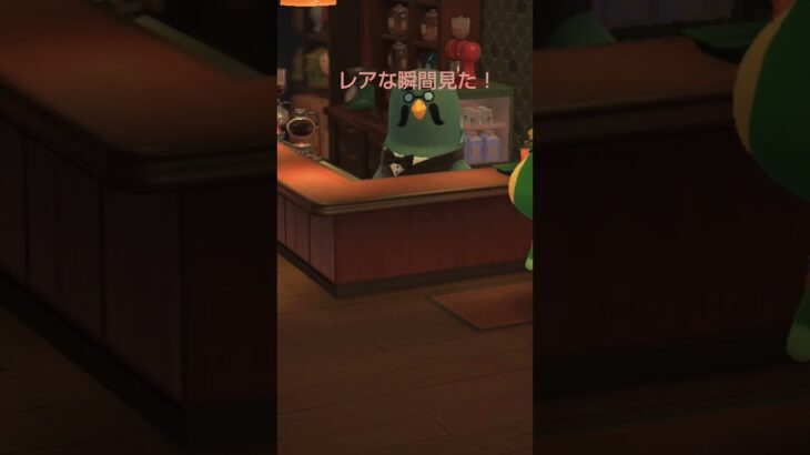 【あつ森】#レアな瞬間見た！#かっぺい#マスター#