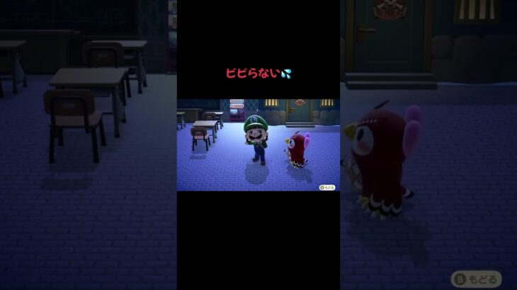 #あつ森 #あつまれどうぶつの森 #どうぶつの森 #検証シリーズ