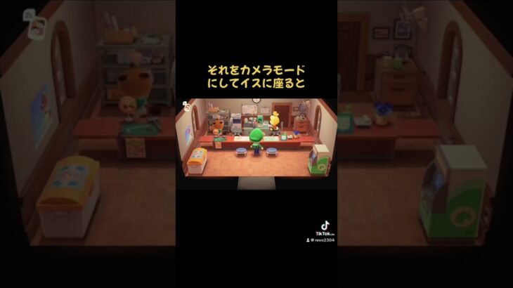 #あつ森 #あつまれどうぶつの森 #どうぶつの森 ま#しずえ