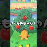 神回すぎる結果　#あつ森