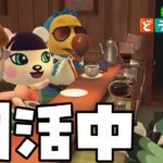 【朝活雑談あつ森】マイル集め頑張るって伝えなきゃ！【あつまれどうぶつの森】