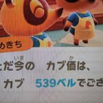 【あつ森】カブ５３９島開放中！誰でも自由に来てください！