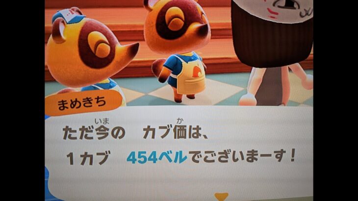 【あつ森】カブ４５４島開放中！高評価、チャンネル登録で無料！
