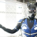 犬の積みゲー配信　あつ森