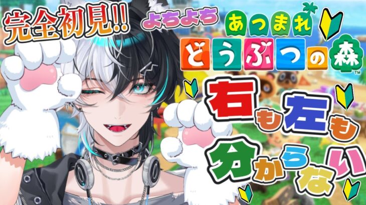 【#あつ森】　人生初プレイ‼🔰どうぶつの森をよちよちプレイ👶＃初見歓迎　＃１