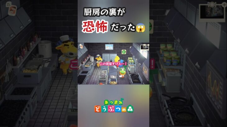 恐怖すぎる厨房の闇を見てしまった😱【あつ森】