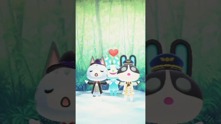 防衛、魔法の道へ(あつ森)
