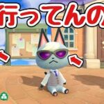 【あつ森】なんかみんなこのサングラス着けてんだけど【あつまれどうぶつの森】