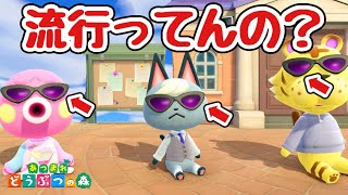 【あつ森】なんかみんなこのサングラス着けてんだけど【あつまれどうぶつの森】