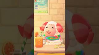 【あつ森】休憩中のちゃちゃまるの表情が可愛すぎる！