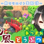 【あつ森】たぶん初めての虫取り大会！お金もないお小遣い稼ぎ！