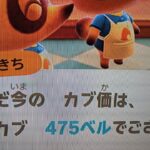 【あつ森】カブ４７５島開放中！高評価、チャンネル登録で無料！