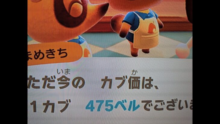【あつ森】カブ４７５島開放中！高評価、チャンネル登録で無料！