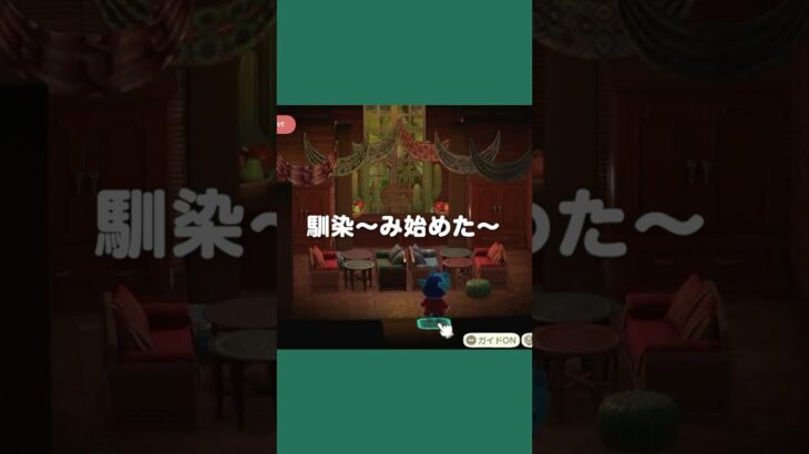 指定家具、絶対に馴染ませてやる！【あつ森｜ハッピーホームパラダイス】