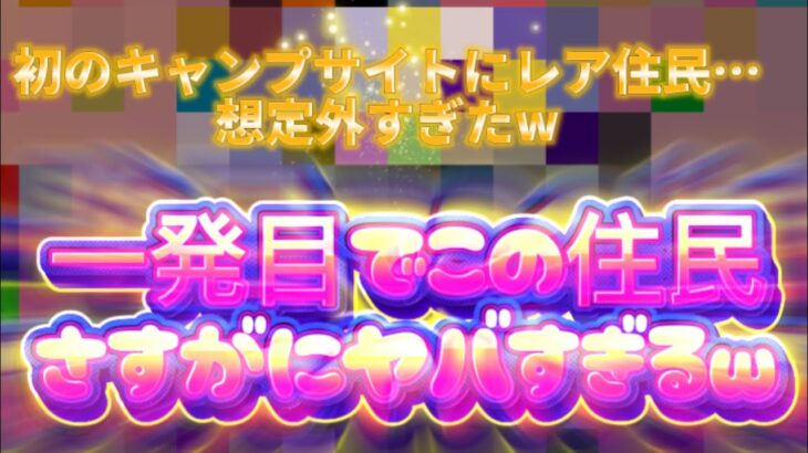 【あつ森】　キャンプサイトで初めてのお客様がレア住民すぎてやばすぎる件　【驚き】