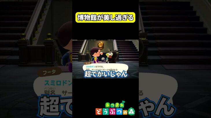 うちの島に博物館ができたらしい #あつ森  #ゲーム実況