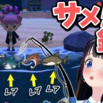 【あつ森】サメ好きによるサメ釣り！レアなサメが釣れるらしい！！【#葵の生放送】