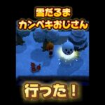 【あつ森】雪だるまにテクニックはいらない、感じるだけ