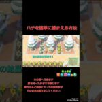 あつ森でハチを捕まえるのが苦手な人へ#あつまれどうぶつの森