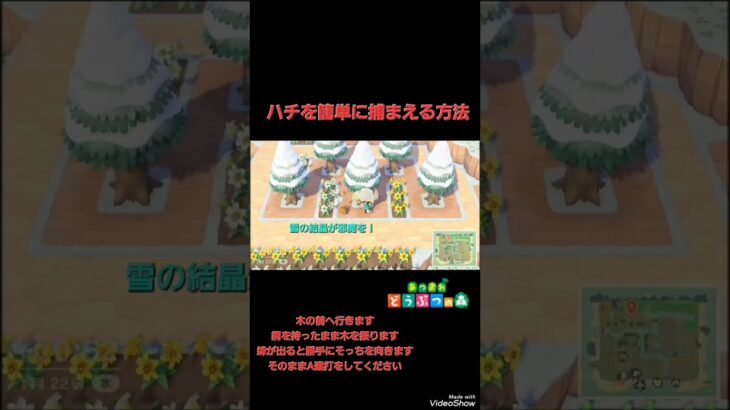 あつ森でハチを捕まえるのが苦手な人へ#あつまれどうぶつの森