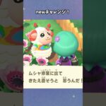 【あつ森】ずーっと一緒だよ…😊 #あつ森  #あつまれどうぶつの森  #女性ゲーム実況