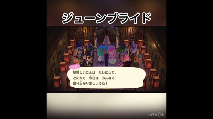 ジューンブライド、リサとカイゾーおめでとう㊗️ #あつまれどうぶつの森 #あつ森 #vlog #animalcrossing #acnh #shorts #こはくちゃんねる2424 まとめ動画