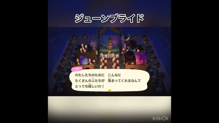 ジューンブライド、リサとカイゾーおめでとう㊗️ #あつまれどうぶつの森 #あつ森 #vlog #animalcrossing #acnh #shorts #こはくちゃんねる2424