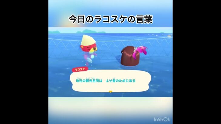 今日のラコスケの言葉　#vlog #あつまれどうぶつの森 #あつ森 #shorts  こはくちゃんねる2424