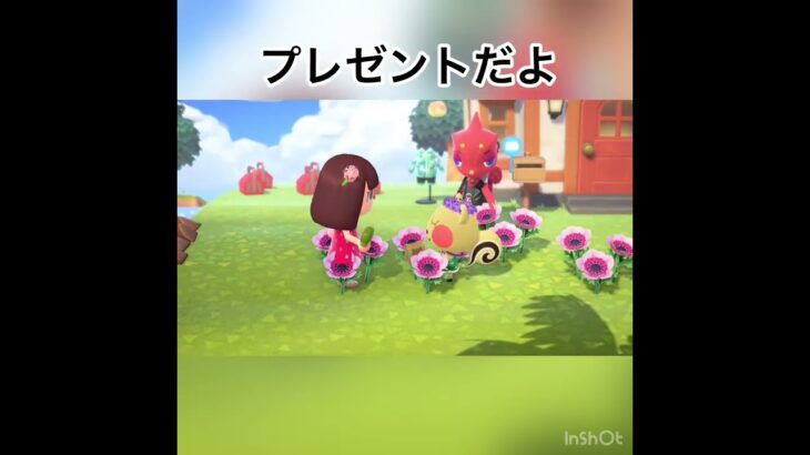 パセリちゃんにプレゼント　#vlog #あつまれどうぶつの森 #あつ森 #shorts  こはくちゃんねる2424