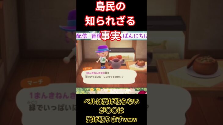 #vtuber #あつ森 #ゲーム実況 #あつまれどうぶつの森  〇〇は受け取ります！ #切り抜き