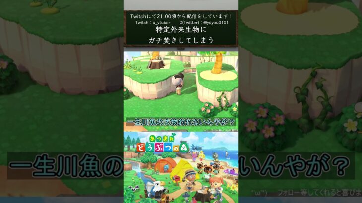 【あつ森】特定外来生物にガチ焚きしてしまう【#vtuber  /#shorts /#あつ森  /#あつまれどうぶつの森 】